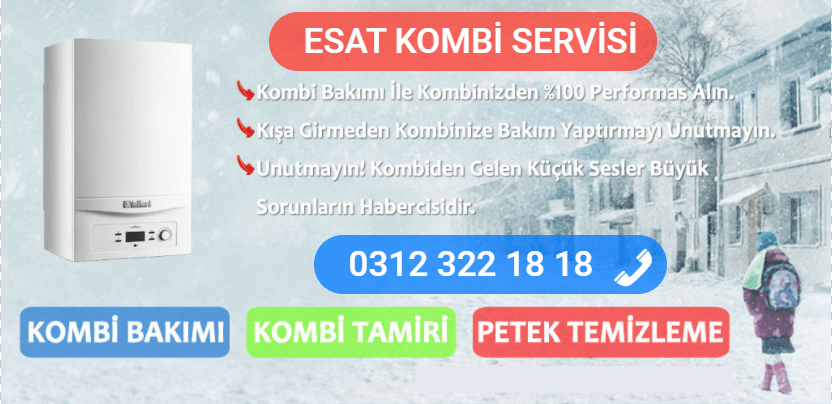 esat kombi bakımı