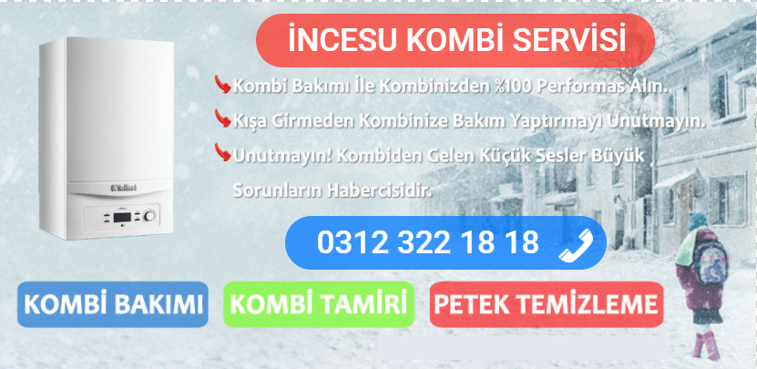 incesu kombi bakımı