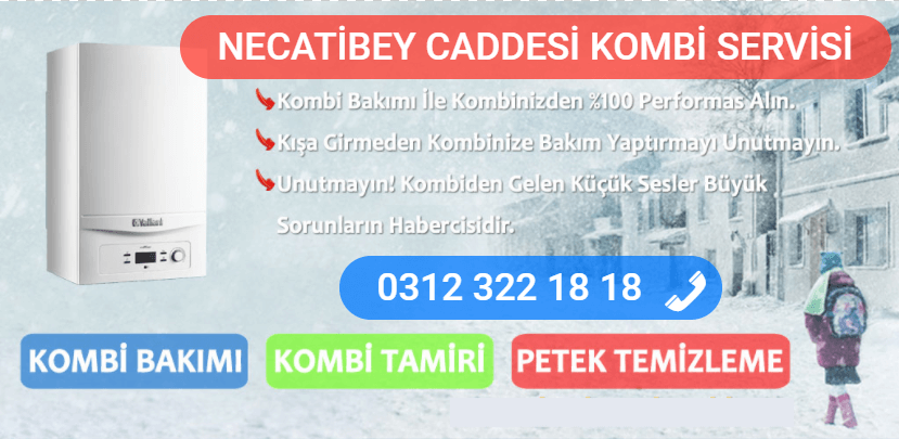 necatibey caddesi kombi bakımı