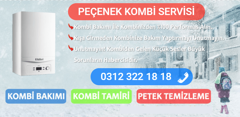 peçenek kombi bakımı