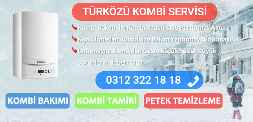 türközü kombi bakımı