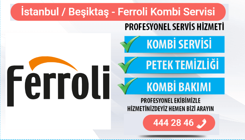 beşiktaş ferroli kombi bakımı