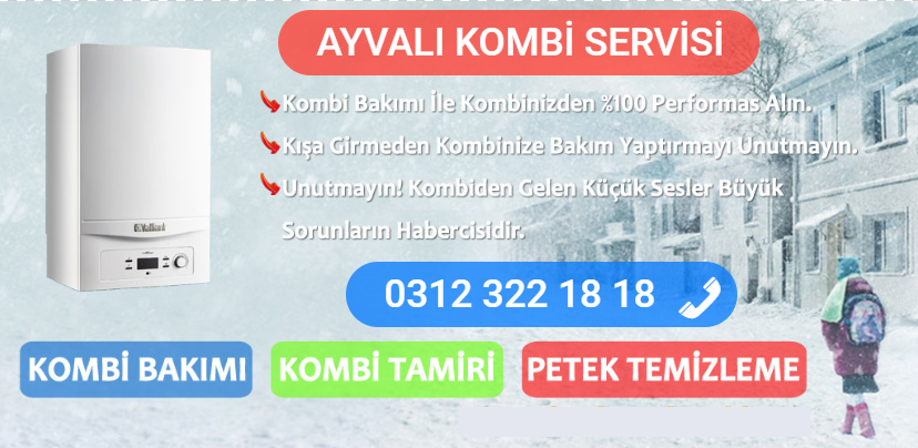 ayvalı kombi bakımı