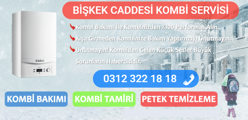 bişkek caddesi kombi bakımı