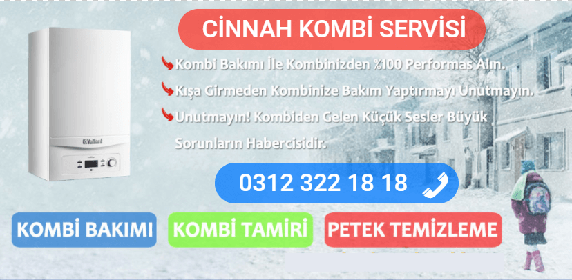 cinnah kombi bakımı