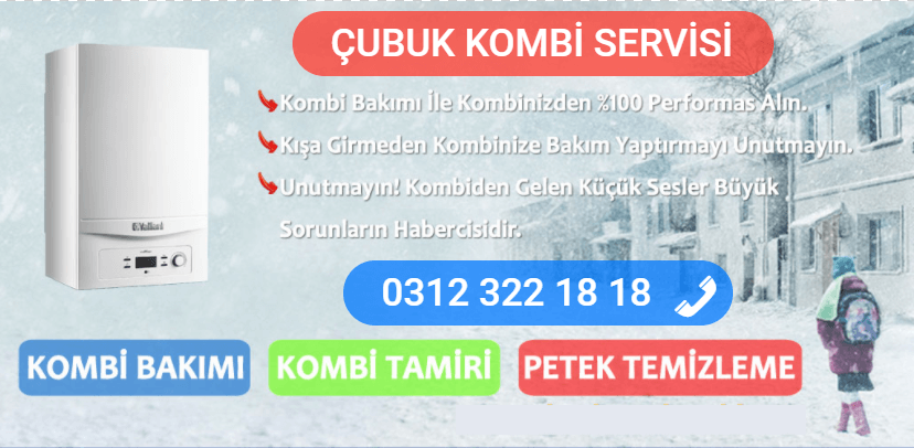 çubuk kombi bakımı