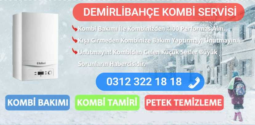 demirlibahçe kombi bakımı