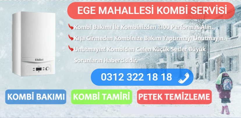 ege mahallesi kombi bakımı