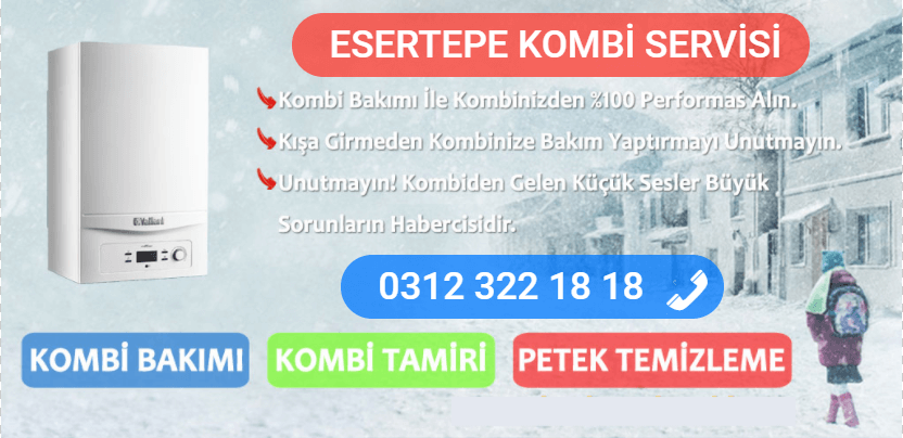 esertepe kombi bakımı