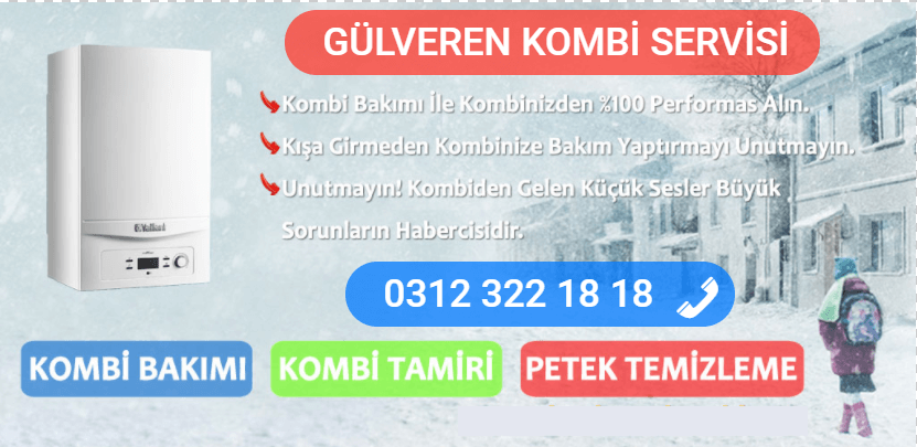 gülveren kombi bakımı