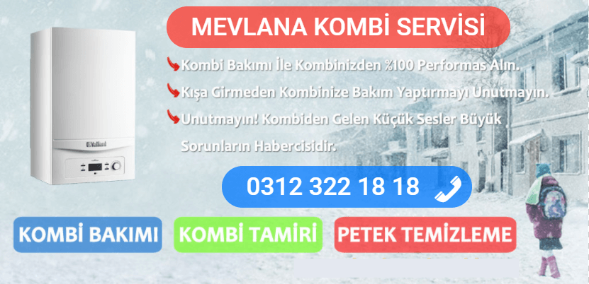 mevlana kombi bakımı