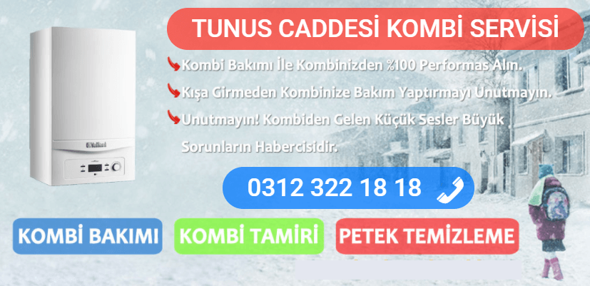tunus caddesi kombi bakımı