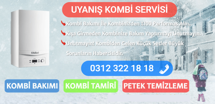 uyanış kombi bakımı