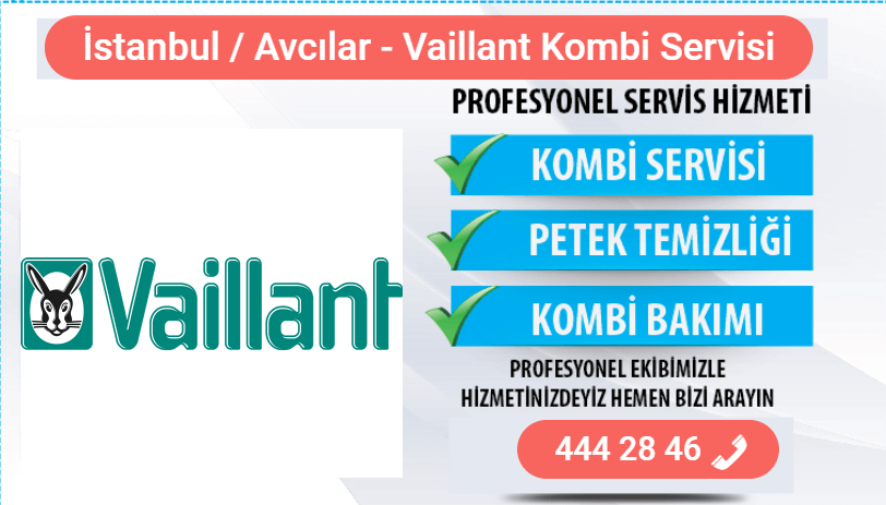 avcılar vaillant kombi bakımı