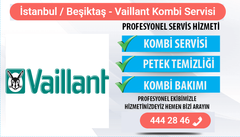 beşiktaş vaillant kombi bakımı
