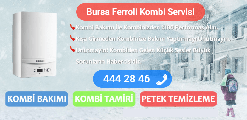 bursa ferroli kombi tamiri