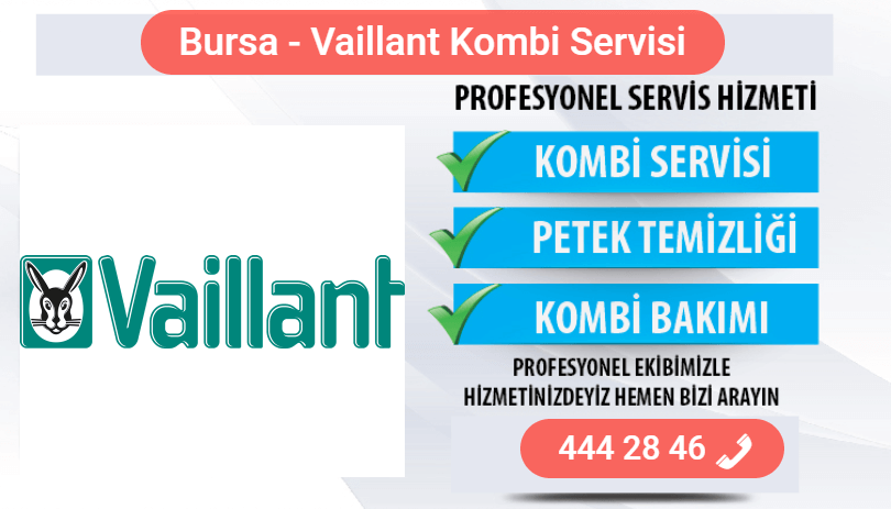 bursa vaillant kombi bakımı