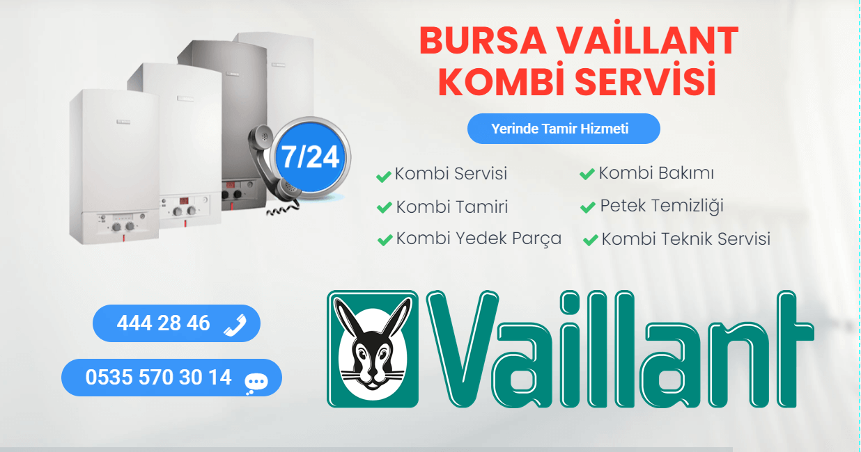 bursa vaillant kombi servisi