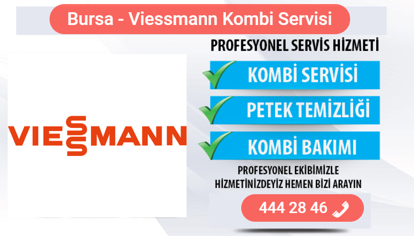 bursa viessmann kombi bakımı