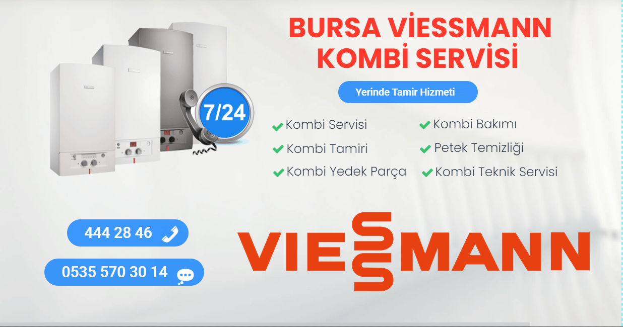 bursa viessmann kombi servisi
