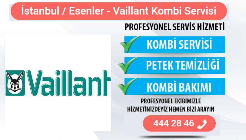 esenler vaillant kombi bakımı