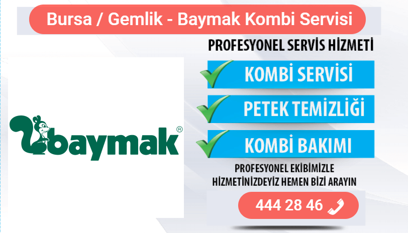 gemlik baymak kombi bakımı