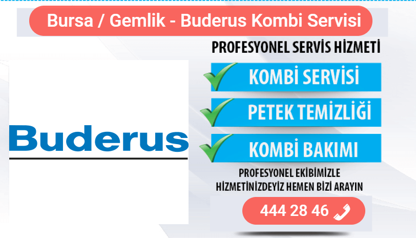 gemlik buderus kombi bakımı