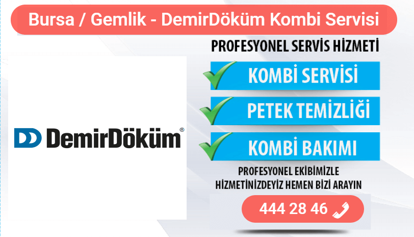 gemlik demirdöküm kombi bakımı