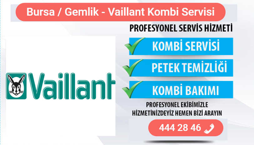 Gemlik Vaillant Kombi bakımı