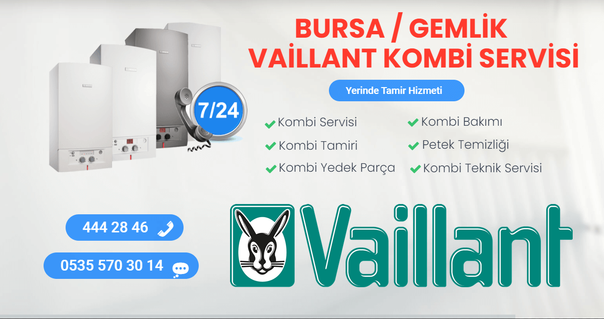 Gemlik Vaillant Kombi Servisi