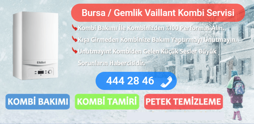 Gemlik Vaillant Kombi tamiri