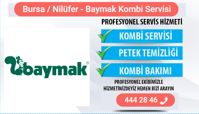 nilüfer baymak kombi bakımı