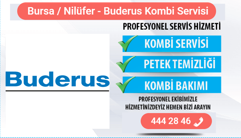 nilüfer buderus kombi bakımı