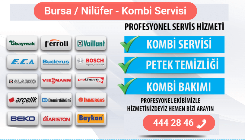 nilüfer kombi bakımı