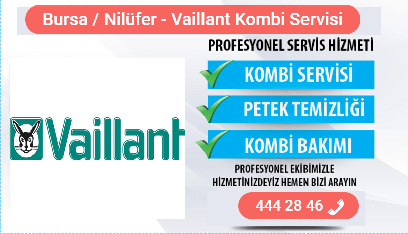 nilüfer vaillant kombi bakımı
