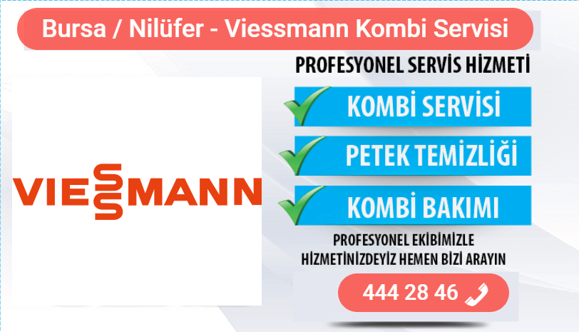 nilüfer viessmann kombi bakımı
