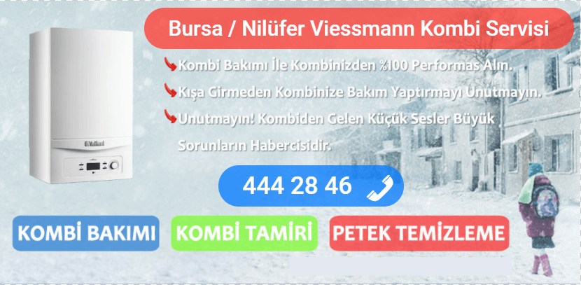 nilüfer viessmann kombi tamiri