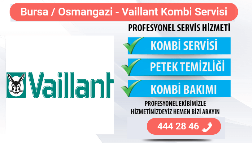 osmangazi vaillant kombi bakımı