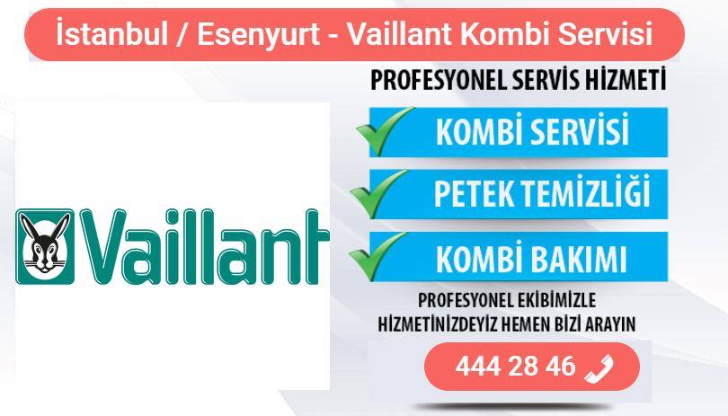 esenyurt vaillant kombi bakımı