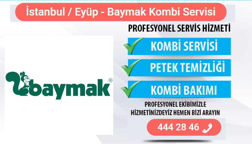 eyüp baymak kombi bakımı