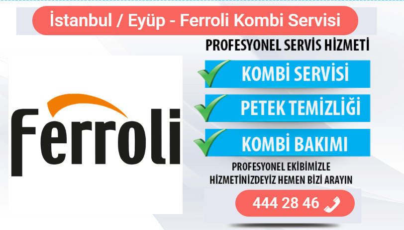 eyüp ferroli kombi bakımı