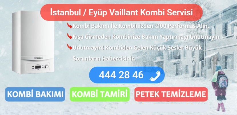 eyüp vaillant kombi tamiri