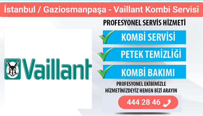 gaziosmanpaşa vaillant kombi bakımı